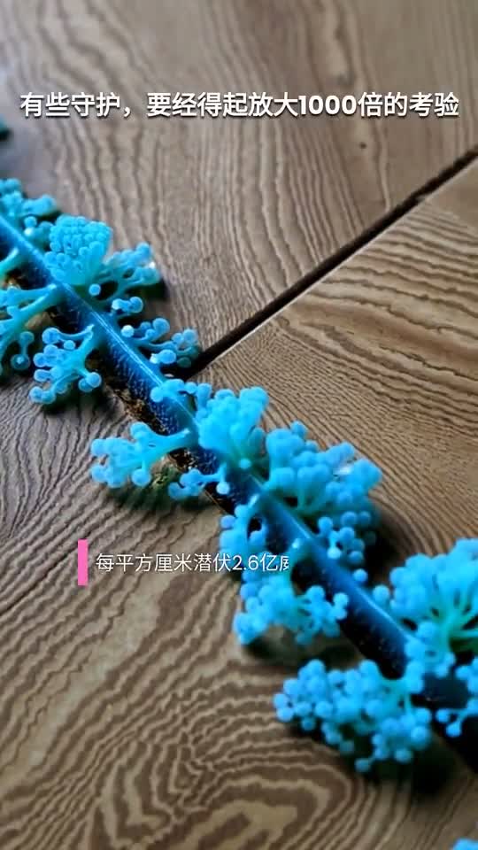 隐形战士：千倍放大下的母婴守护