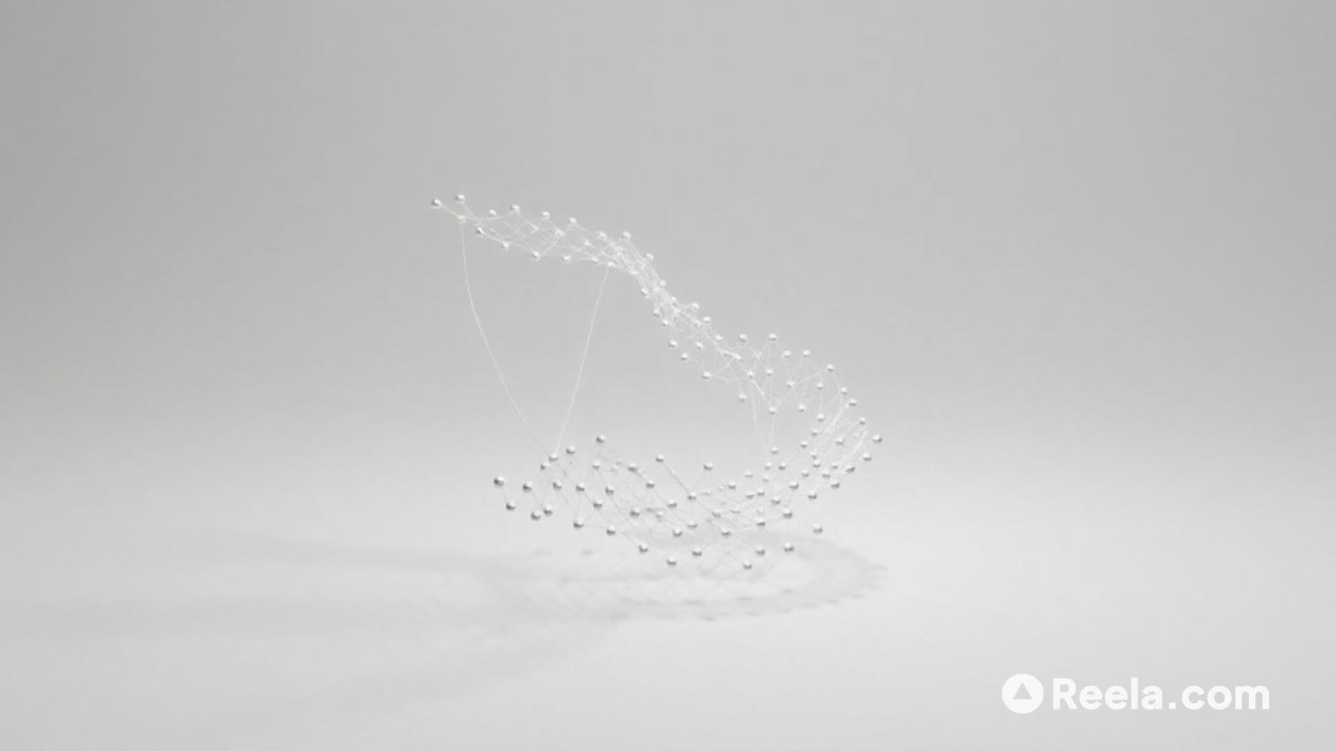 Beneath the Surface: The Living Network
