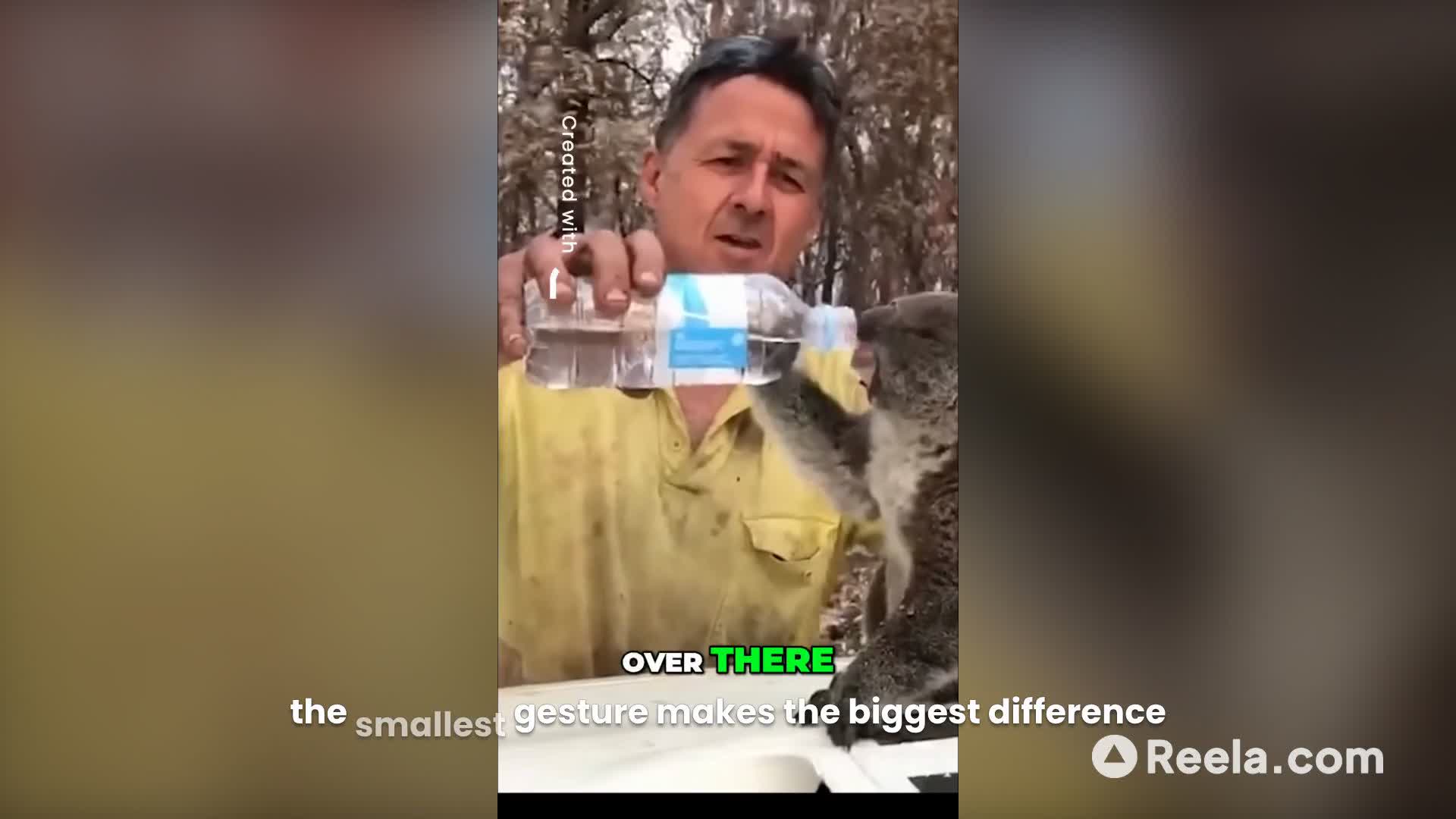 Thirsty Koala Finds Hope in Human Kindness