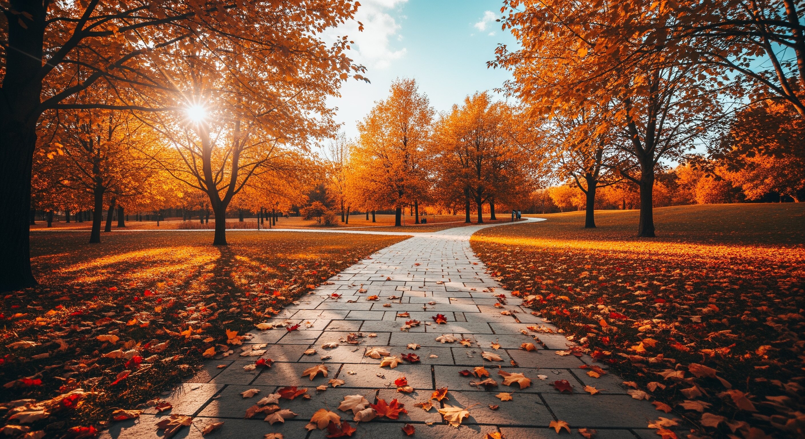 Storyboard image 2 Storyboard image 2