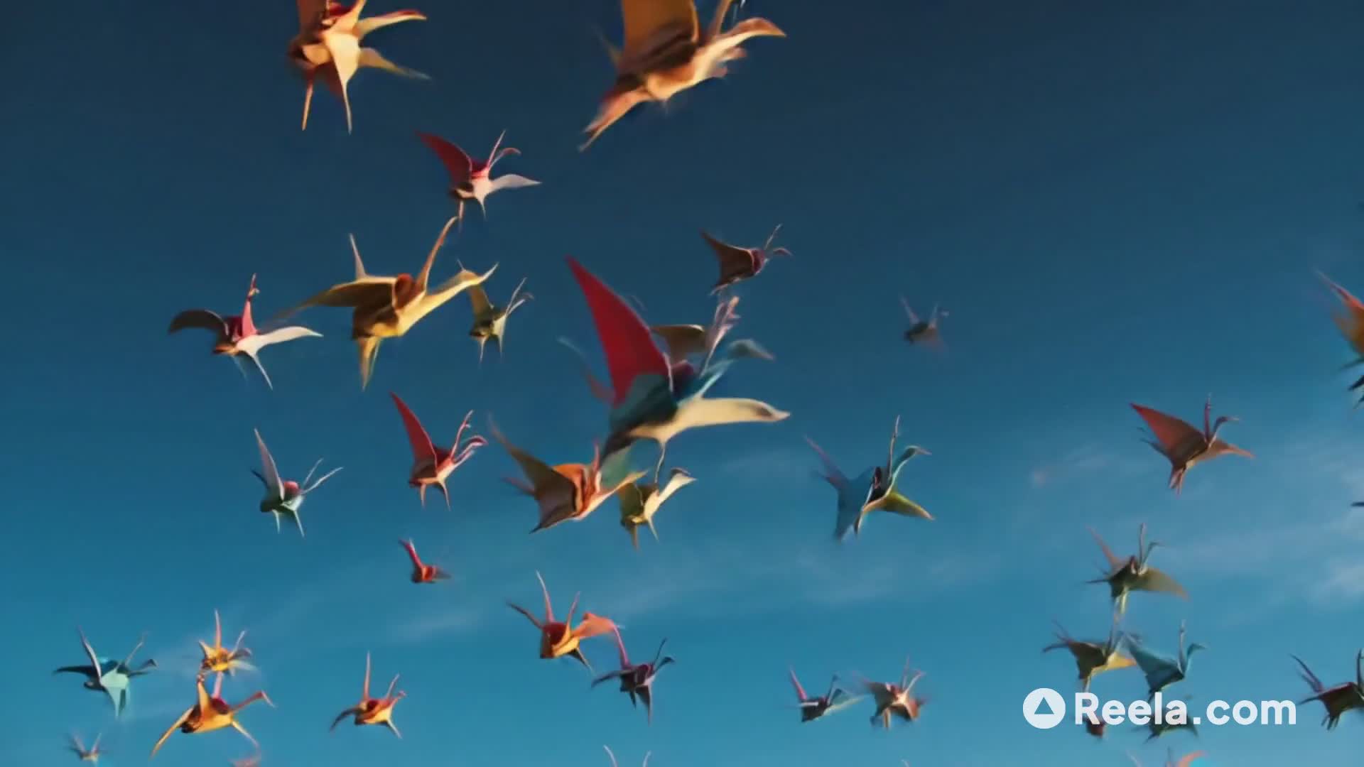 When Wishes Take Flight: A Thanksgiving Meditation