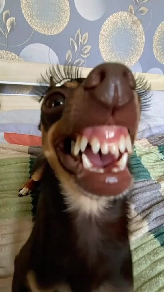 Storyboard image 1 Storyboard image 1