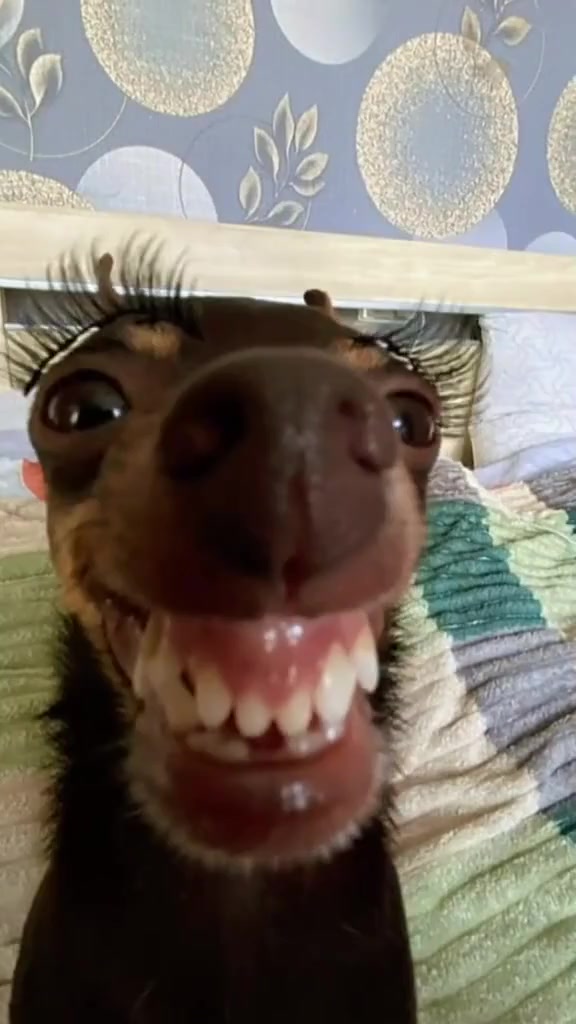 Storyboard image 1 Storyboard image 1