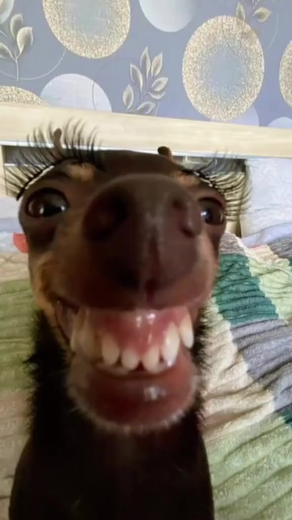 Storyboard image 1 Storyboard image 1