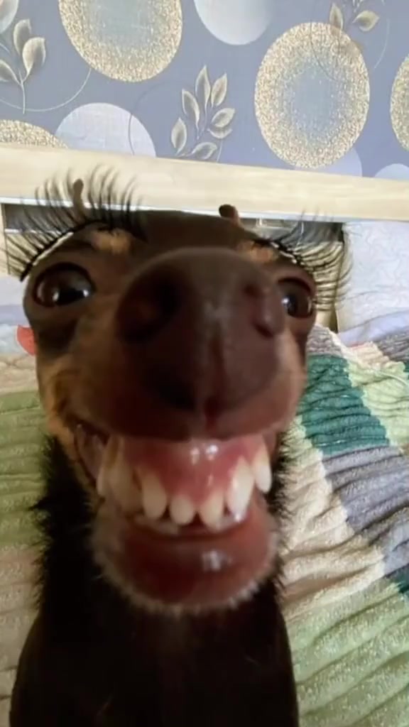 Storyboard image 2 Storyboard image 2