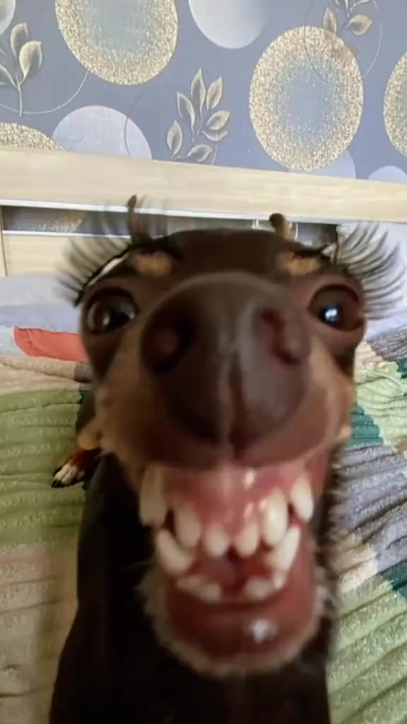 Storyboard image 3 Storyboard image 3