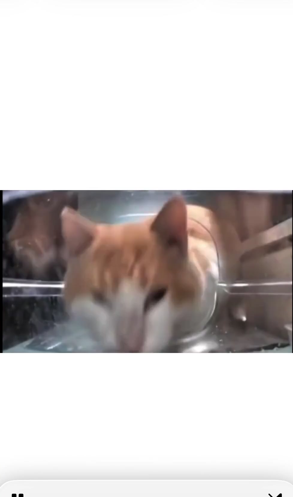 Storyboard image 1 Storyboard image 1