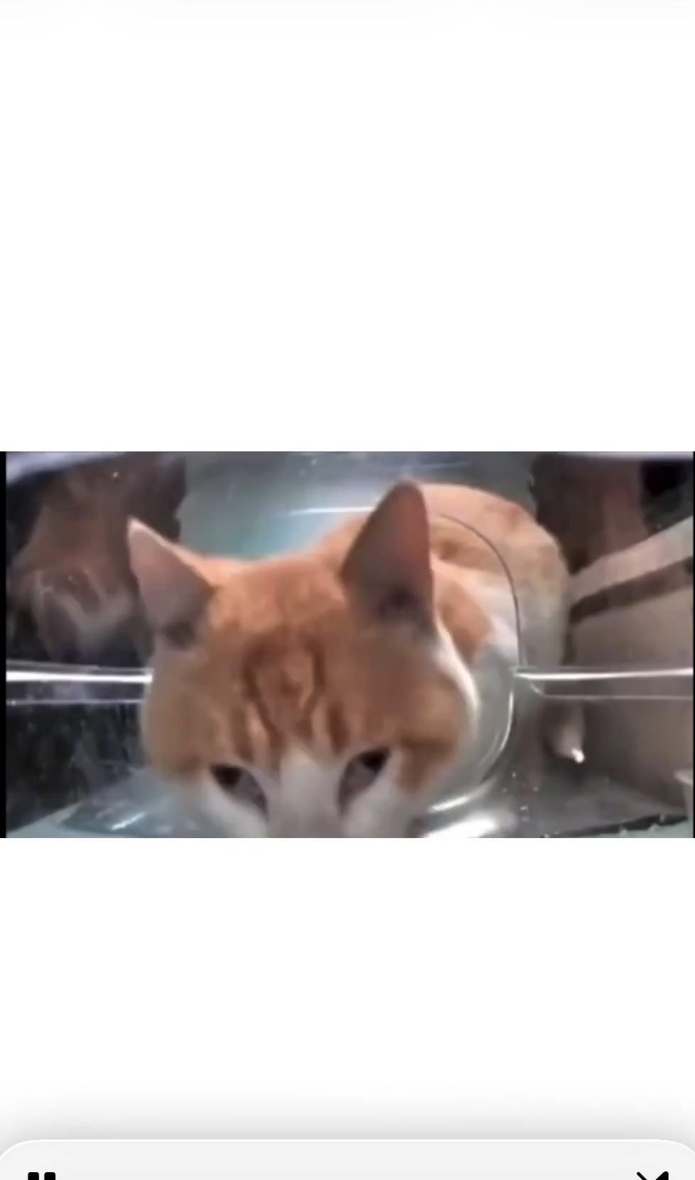 Storyboard image 2 Storyboard image 2