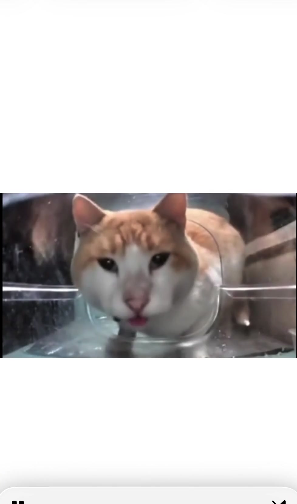 Storyboard image 1 Storyboard image 1