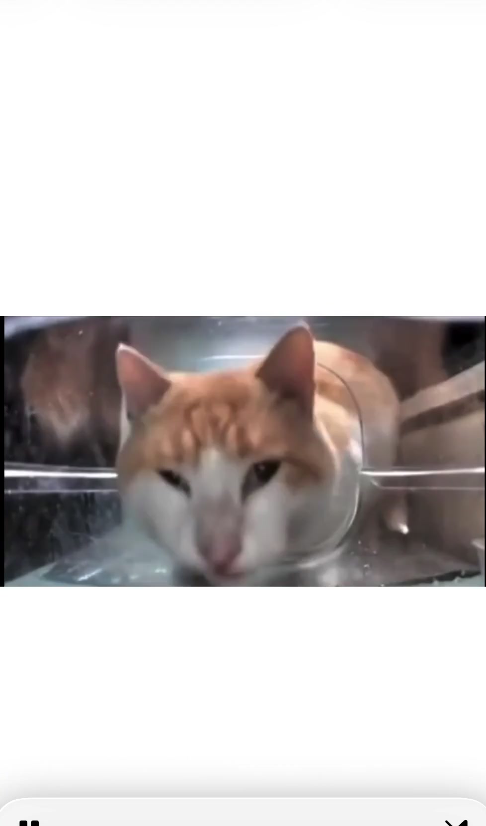 Storyboard image 2 Storyboard image 2