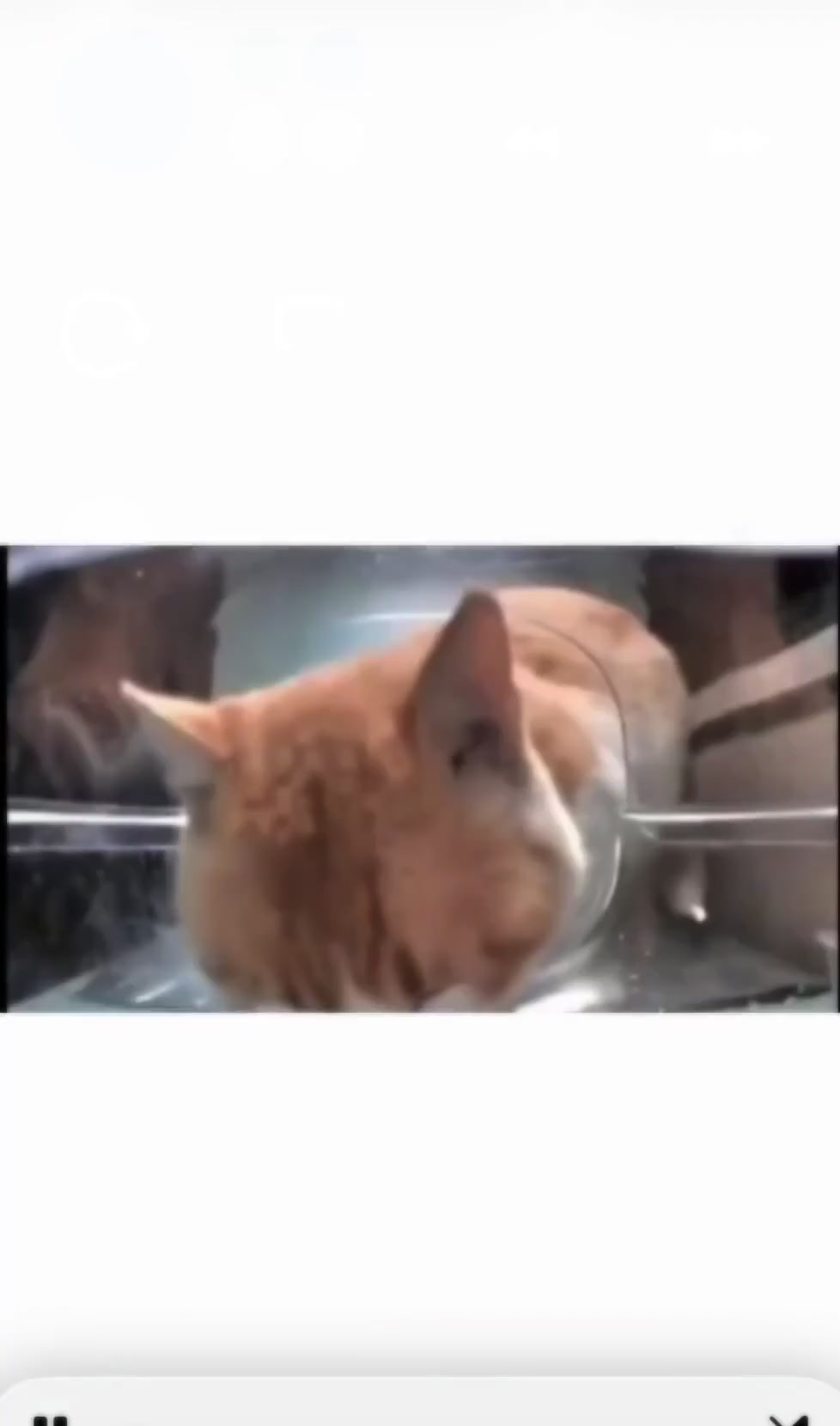 Storyboard image 4 Storyboard image 4