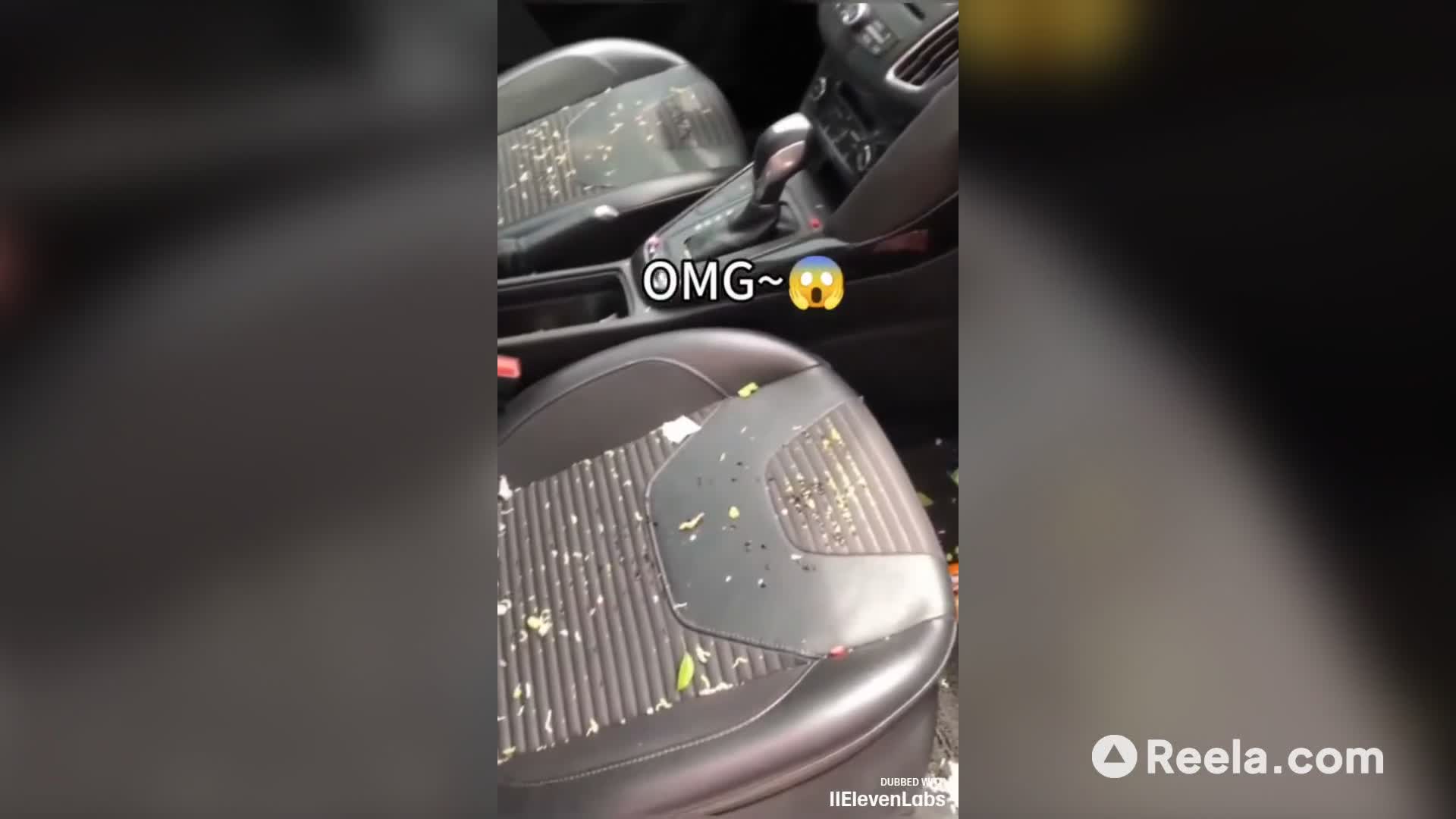 Instantly clean your car! 🚗✨