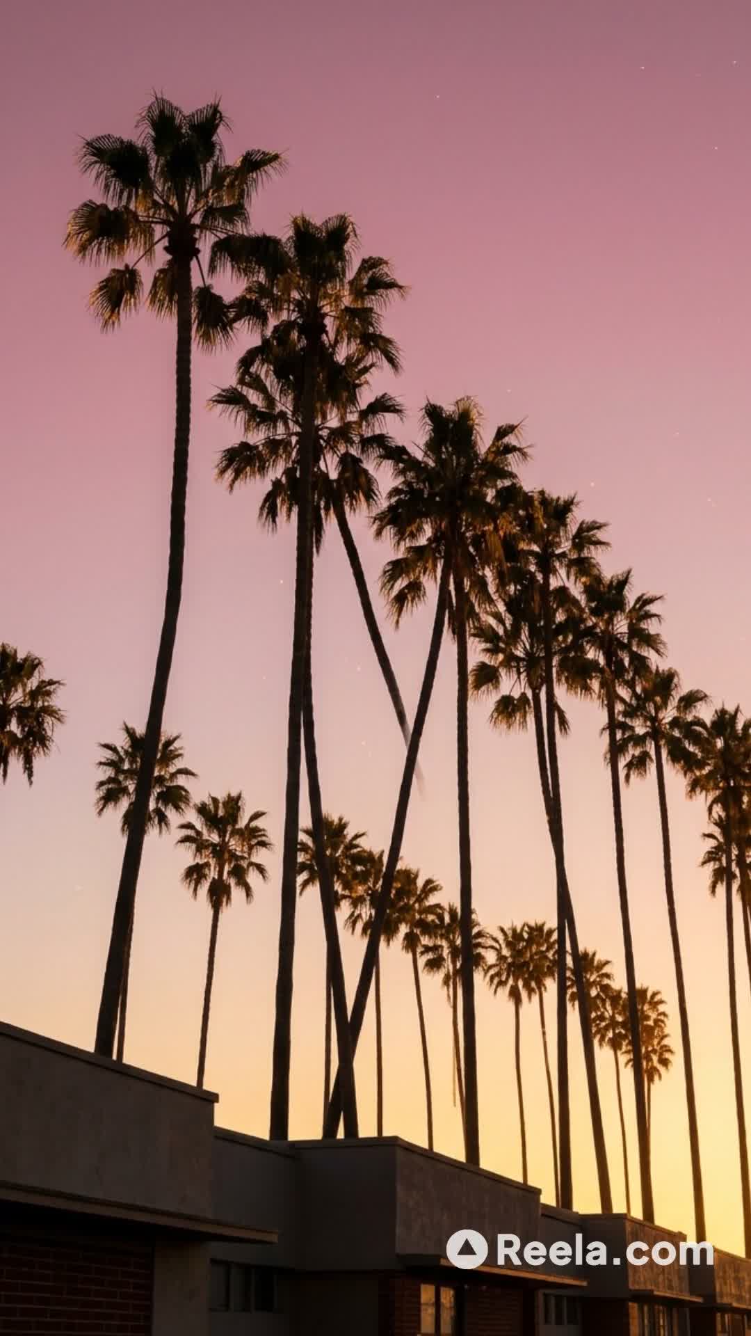 洛杉矶的黄昏，你的专属爱乐之城