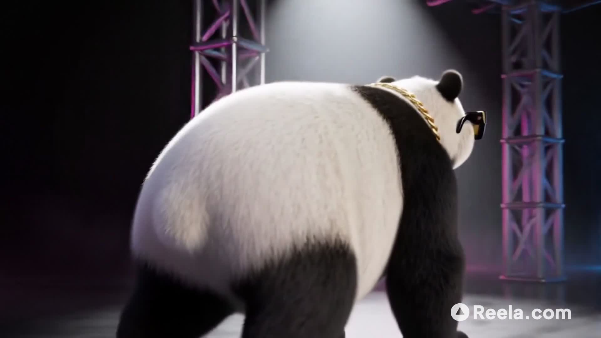 哈圈最拽的胖子来了！